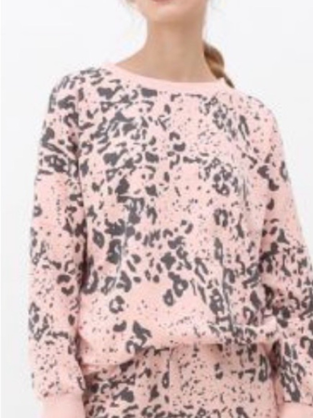 Wildfox Sweatshirt